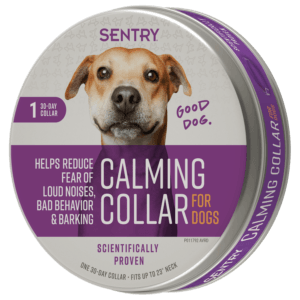 Pañal Perro Pet Spa Pds S - Home Sentry