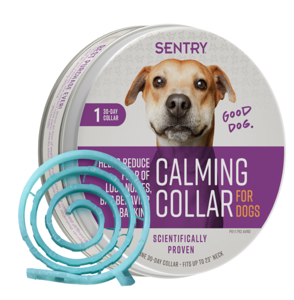 Sentry calming collar for dogs